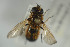  ( - NORSY471)  @12 [ ] CreativeCommons - Attribution Non-Commercial Share-Alike (2015) Arnstein Staverlokk Norwegian Institute of Nature Research