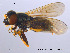  ( - NorSy08)  @13 [ ] CreativeCommons - Attribution Non-Commercial Share-Alike (2012) NTNU Museum of Natural History and Archaeology NTNU Museum of Natural History and Archaeology