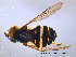  ( - NorSy10)  @11 [ ] CreativeCommons - Attribution Non-Commercial Share-Alike (2012) NTNU Museum of Natural History and Archaeology NTNU Museum of Natural History and Archaeology