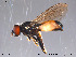  ( - NorSy103)  @13 [ ] CreativeCommons - Attribution Non-Commercial Share-Alike (2012) NTNU Museum of Natural History and Archaeology NTNU Museum of Natural History and Archaeology