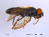  ( - NorSy11)  @12 [ ] CreativeCommons - Attribution Non-Commercial Share-Alike (2012) NTNU Museum of Natural History and Archaeology NTNU Museum of Natural History and Archaeology
