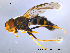 ( - NorSy12)  @14 [ ] CreativeCommons - Attribution Non-Commercial Share-Alike (2012) NTNU Museum of Natural History and Archaeology NTNU Museum of Natural History and Archaeology