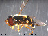  ( - NorSy120)  @13 [ ] CreativeCommons - Attribution Non-Commercial Share-Alike (2012) NTNU Museum of Natural History and Archaeology NTNU Museum of Natural History and Archaeology