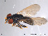  ( - NorSy121)  @13 [ ] CreativeCommons - Attribution Non-Commercial Share-Alike (2012) NTNU Museum of Natural History and Archaeology NTNU Museum of Natural History and Archaeology