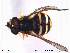  ( - NorSy128)  @12 [ ] CreativeCommons - Attribution Non-Commercial Share-Alike (2012) NTNU Museum of Natural History and Archaeology NTNU Museum of Natural History and Archaeology