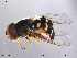  ( - NorSy140)  @13 [ ] CreativeCommons - Attribution Non-Commercial Share-Alike (2012) NTNU Museum of Natural History and Archaeology NTNU Museum of Natural History and Archaeology