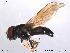  ( - NorSy145)  @11 [ ] CreativeCommons - Attribution Non-Commercial Share-Alike (2012) NTNU Museum of Natural History and Archaeology NTNU Museum of Natural History and Archaeology