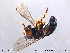  ( - NorSy150)  @12 [ ] CreativeCommons - Attribution Non-Commercial Share-Alike (2012) NTNU Museum of Natural History and Archaeology NTNU Museum of Natural History and Archaeology