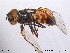  ( - NorSy156)  @14 [ ] CreativeCommons - Attribution Non-Commercial Share-Alike (2012) NTNU Museum of Natural History and Archaeology NTNU Museum of Natural History and Archaeology