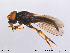  ( - NorSy159)  @13 [ ] CreativeCommons - Attribution Non-Commercial Share-Alike (2012) NTNU Museum of Natural History and Archaeology NTNU Museum of Natural History and Archaeology