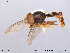  ( - NorSy160)  @13 [ ] CreativeCommons - Attribution Non-Commercial Share-Alike (2012) NTNU Museum of Natural History and Archaeology NTNU Museum of Natural History and Archaeology