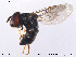  ( - NorSy169)  @13 [ ] CreativeCommons - Attribution Non-Commercial Share-Alike (2012) NTNU Museum of Natural History and Archaeology NTNU Museum of Natural History and Archaeology