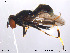  ( - NorSy172)  @13 [ ] CreativeCommons - Attribution Non-Commercial Share-Alike (2012) NTNU Museum of Natural History and Archaeology NTNU Museum of Natural History and Archaeology