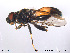  ( - NorSy174)  @13 [ ] CreativeCommons - Attribution Non-Commercial Share-Alike (2012) NTNU Museum of Natural History and Archaeology NTNU Museum of Natural History and Archaeology