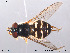 ( - NorSy184)  @13 [ ] CreativeCommons - Attribution Non-Commercial Share-Alike (2012) NTNU Museum of Natural History and Archaeology NTNU Museum of Natural History and Archaeology