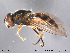  ( - NorSy196)  @13 [ ] CreativeCommons - Attribution Non-Commercial Share-Alike (2012) NTNU Museum of Natural History and Archaeology NTNU Museum of Natural History and Archaeology