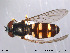  ( - NorSy211)  @13 [ ] CreativeCommons - Attribution Non-Commercial Share-Alike (2012) NTNU Museum of Natural History and Archaeology NTNU Museum of Natural History and Archaeology