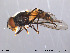  ( - NorSy212)  @13 [ ] CreativeCommons - Attribution Non-Commercial Share-Alike (2012) NTNU Museum of Natural History and Archaeology NTNU Museum of Natural History and Archaeology