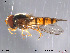  ( - NorSy216)  @13 [ ] CreativeCommons - Attribution Non-Commercial Share-Alike (2012) NTNU Museum of Natural History and Archaeology NTNU Museum of Natural History and Archaeology