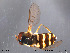  ( - NorSy223)  @13 [ ] CreativeCommons - Attribution Non-Commercial Share-Alike (2012) NTNU Museum of Natural History and Archaeology NTNU Museum of Natural History and Archaeology