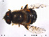  ( - NorSy225)  @13 [ ] CreativeCommons - Attribution Non-Commercial Share-Alike (2012) NTNU Museum of Natural History and Archaeology NTNU Museum of Natural History and Archaeology
