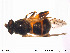  ( - NorSy248)  @12 [ ] CreativeCommons - Attribution Non-Commercial Share-Alike (2012) NTNU Museum of Natural History and Archaeology NTNU Museum of Natural History and Archaeology