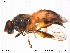  ( - NorSy250)  @13 [ ] CreativeCommons - Attribution Non-Commercial Share-Alike (2012) NTNU Museum of Natural History and Archaeology NTNU Museum of Natural History and Archaeology