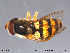  ( - NorSy258)  @13 [ ] CreativeCommons - Attribution Non-Commercial Share-Alike (2012) NTNU Museum of Natural History and Archaeology NTNU Museum of Natural History and Archaeology