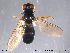  ( - NorSy261)  @11 [ ] CreativeCommons - Attribution Non-Commercial Share-Alike (2012) NTNU Museum of Natural History and Archaeology NTNU Museum of Natural History and Archaeology