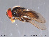  ( - NorSy267)  @13 [ ] CreativeCommons - Attribution Non-Commercial Share-Alike (2012) NTNU Museum of Natural History and Archaeology NTNU Museum of Natural History and Archaeology