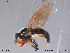  ( - NorSy272)  @13 [ ] CreativeCommons - Attribution Non-Commercial Share-Alike (2012) NTNU Museum of Natural History and Archaeology NTNU Museum of Natural History and Archaeology