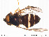 ( - NorSy275)  @13 [ ] CreativeCommons - Attribution Non-Commercial Share-Alike (2012) NTNU Museum of Natural History and Archaeology NTNU Museum of Natural History and Archaeology