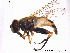  ( - NorSy277)  @13 [ ] CreativeCommons - Attribution Non-Commercial Share-Alike (2012) NTNU Museum of Natural History and Archaeology NTNU Museum of Natural History and Archaeology