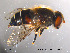  ( - NorSy28)  @11 [ ] CreativeCommons - Attribution Non-Commercial Share-Alike (2012) NTNU Museum of Natural History and Archaeology NTNU Museum of Natural History and Archaeology
