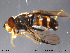  ( - NorSy283)  @13 [ ] CreativeCommons - Attribution Non-Commercial Share-Alike (2012) NTNU Museum of Natural History and Archaeology NTNU Museum of Natural History and Archaeology