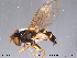  ( - NorSy284)  @12 [ ] CreativeCommons - Attribution Non-Commercial Share-Alike (2012) NTNU Museum of Natural History and Archaeology NTNU Museum of Natural History and Archaeology