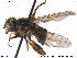  ( - NorSy287)  @14 [ ] CreativeCommons - Attribution Non-Commercial Share-Alike (2012) NTNU Museum of Natural History and Archaeology NTNU Museum of Natural History and Archaeology