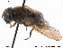  ( - NorSy292)  @13 [ ] CreativeCommons - Attribution Non-Commercial Share-Alike (2012) NTNU Museum of Natural History and Archaeology NTNU Museum of Natural History and Archaeology