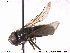 ( - NorSy293)  @13 [ ] CreativeCommons - Attribution Non-Commercial Share-Alike (2012) NTNU Museum of Natural History and Archaeology NTNU Museum of Natural History and Archaeology
