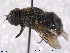  ( - NorSy294)  @12 [ ] CreativeCommons - Attribution Non-Commercial Share-Alike (2012) NTNU Museum of Natural History and Archaeology NTNU Museum of Natural History and Archaeology