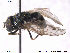  ( - NorSy299)  @13 [ ] CreativeCommons - Attribution Non-Commercial Share-Alike (2012) NTNU Museum of Natural History and Archaeology NTNU Museum of Natural History and Archaeology