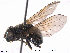  ( - NorSy301)  @12 [ ] CreativeCommons - Attribution Non-Commercial Share-Alike (2012) NTNU Museum of Natural History and Archaeology NTNU Museum of Natural History and Archaeology