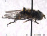  ( - NorSy308)  @12 [ ] CreativeCommons - Attribution Non-Commercial Share-Alike (2012) NTNU Museum of Natural History and Archaeology NTNU Museum of Natural History and Archaeology