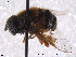  ( - NorSy316)  @13 [ ] CreativeCommons - Attribution Non-Commercial Share-Alike (2012) NTNU Museum of Natural History and Archaeology NTNU Museum of Natural History and Archaeology