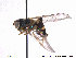  ( - NorSy323)  @13 [ ] CreativeCommons - Attribution Non-Commercial Share-Alike (2012) NTNU Museum of Natural History and Archaeology NTNU Museum of Natural History and Archaeology