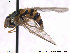  ( - NorSy325)  @12 [ ] CreativeCommons - Attribution Non-Commercial Share-Alike (2012) NTNU Museum of Natural History and Archaeology NTNU Museum of Natural History and Archaeology