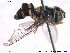  ( - NorSy330)  @12 [ ] CreativeCommons - Attribution Non-Commercial Share-Alike (2012) NTNU Museum of Natural History and Archaeology NTNU Museum of Natural History and Archaeology