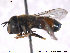  ( - NorSy338)  @11 [ ] CreativeCommons - Attribution Non-Commercial Share-Alike (2012) NTNU Museum of Natural History and Archaeology NTNU Museum of Natural History and Archaeology