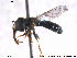  ( - NorSy340)  @13 [ ] CreativeCommons - Attribution Non-Commercial Share-Alike (2012) NTNU Museum of Natural History and Archaeology NTNU Museum of Natural History and Archaeology