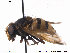  ( - NorSy359)  @13 [ ] CreativeCommons - Attribution Non-Commercial Share-Alike (2012) NTNU Museum of Natural History and Archaeology NTNU Museum of Natural History and Archaeology